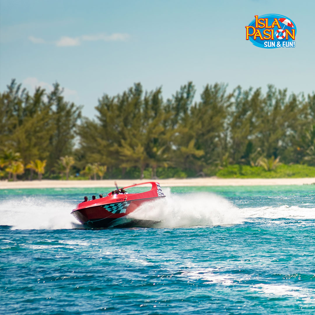 IslaPasion's tweet photo. Life is a blank canvas, and you need to throw all the paint on it you can. 🏝️☀️

Book our tours now! https://t.co/bJ5cxfq2EU 

#PassionIsland #BeachVibes #Cozumel #Trip #CaribbeanBeach #CruiseDestination https://t.co/q0hJngbX0h