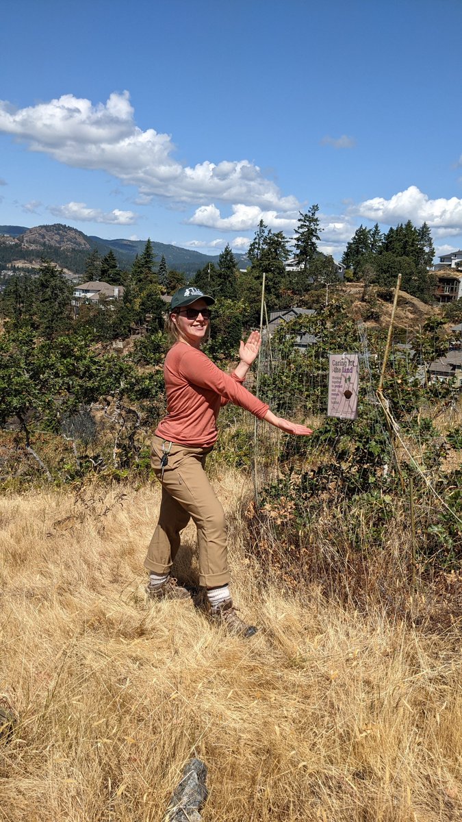 TLC4BC's tweet photo. TLC’s white-top aster survey at the Langvista covenant is coming along! So exciting to see these plants, very rare to the area, beginning to bloom. These are growing in exclusion zones carefully monitored by TLC. 

#whitetopaster #conservationcovenant #habitatprotection https://t.co/ddHwjWfWqI
