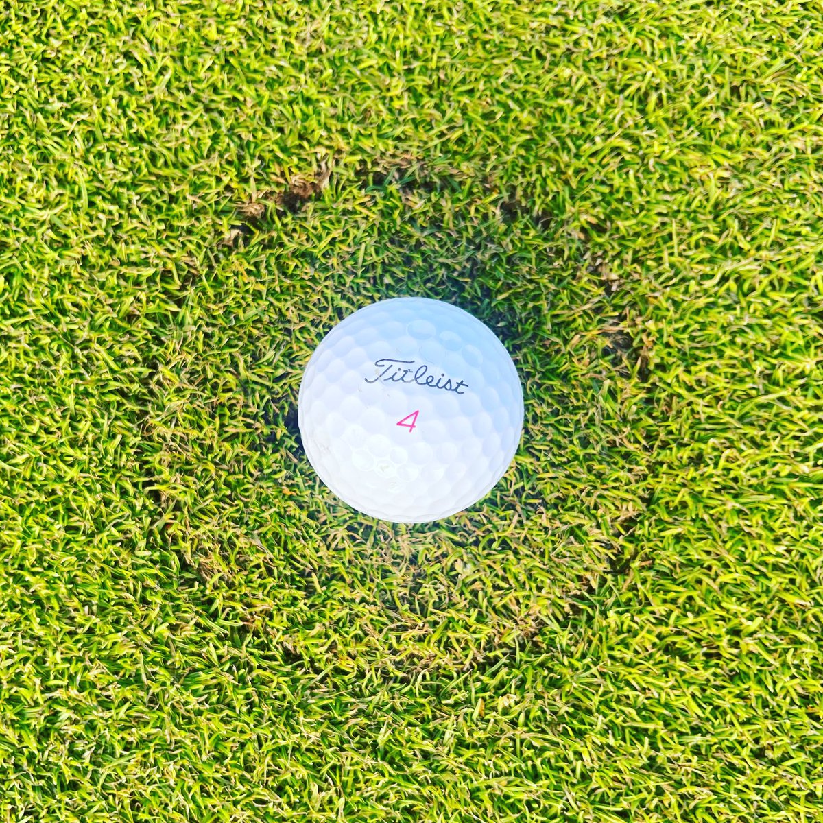 Dan Walker tweet media