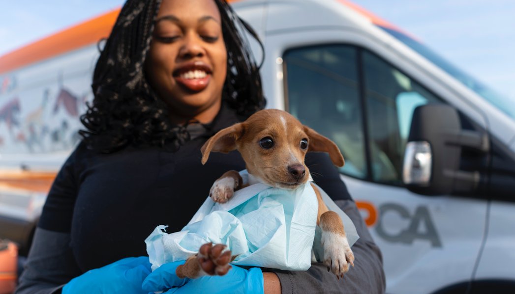 ASPCA's tweet photo. Our Relocation team is running very low on training pads!🐶  If you’re able to help, check out the Amazon Charity List to see what’s needed: https://t.co/vbn9skOQSA 🧡  Please retweet, thank you! https://t.co/K5Ib1GTZco
