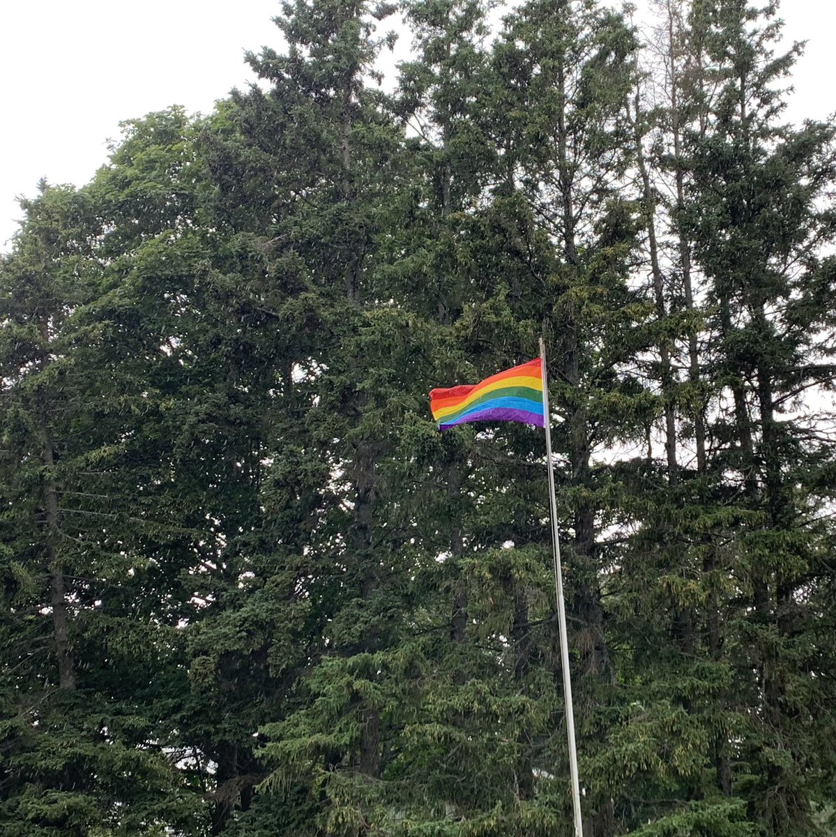 BillySchurman's tweet photo. With out of province travel a little late getting back to raise the flag, participate & celebrate #peiprideweek @PridePEI @PeersPei @IncludeSSide https://t.co/4CRAcb4XBr #LoveIsLove π³οΈβπ https://t.co/sD04J6VQAG
