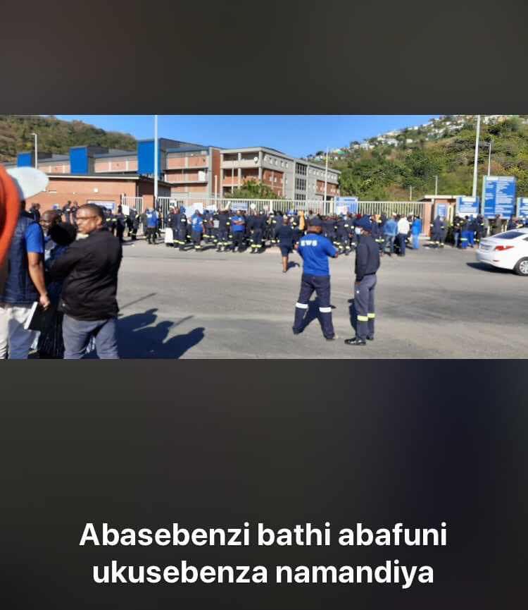 Yardofhumble's tweet photo. @ntsikimazwai #Kubird so much has happened. The Chief instigator himself.
#askhumble #PhoenixMassacre https://t.co/WPL3zg4hIr