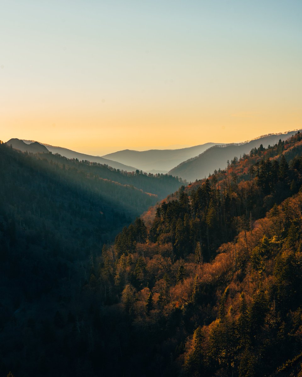 One of my favorite photos that I've gotten not only because of the view but the experience that came along with it! Chasing the sunset at the top of the #smokeymountains with my family was insane!! 
#landscapephotography #smokeymountainnationalpark #sonya73