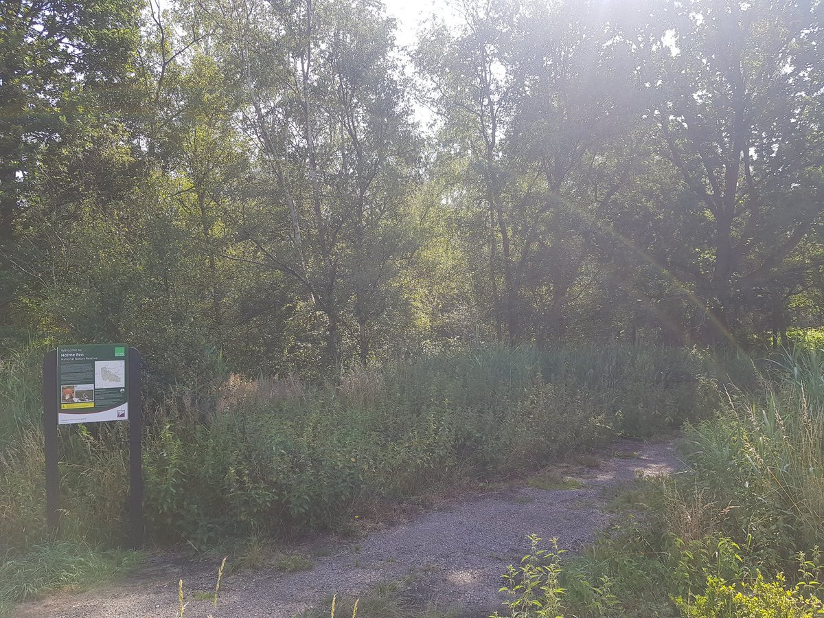 FenlandOf's tweet photo. Local tourism in action alongside use of ecosystem services as was a very hot day! Travel to a local gem and make use of nature for a cooler, more carbon neutral and wonderful day out! @greatfen @CambridgeshireF @NaturalEngland @wildlifebcn @CPRECambs @fensbiosphere @CambsCC 🦋🌳 https://t.co/PYhpTW28b9
