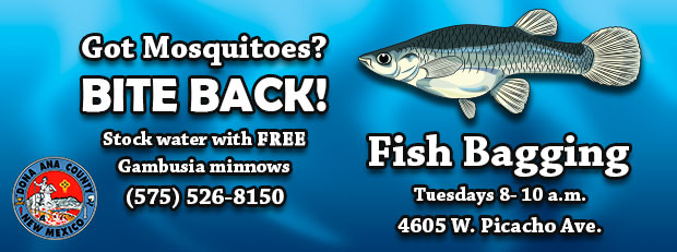DACinformation's tweet image. Bags will be offered at the minnow pond, or you can bring your own container. For more information or to schedule a separate time to pick up fish, call (575) 526-8150 or visit donaanacounty.org/vector

#FightTheBite #mosquitocontrol #freefish #vectorcontrol #mosquitoes