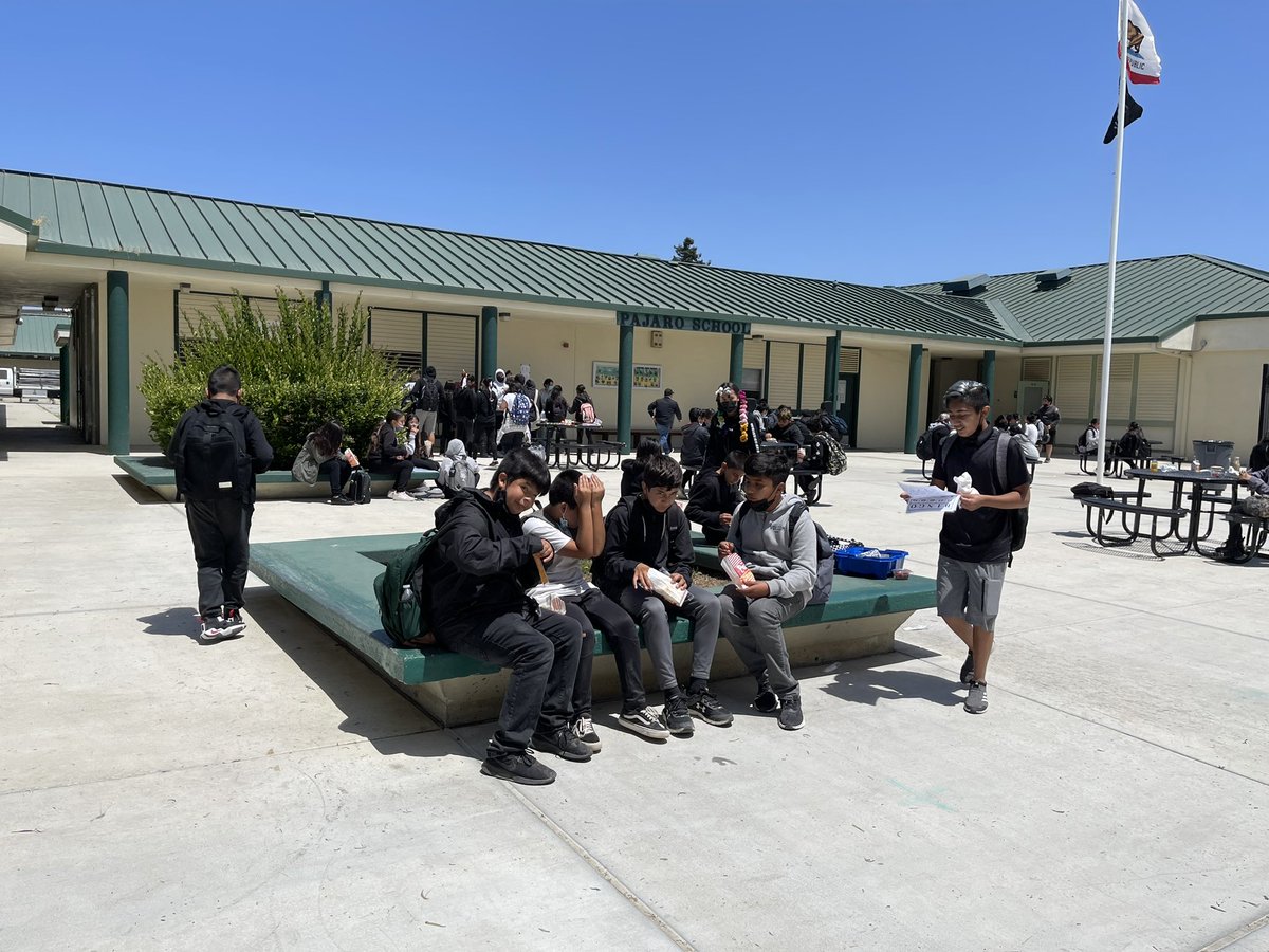 PajaroMiddle1's tweet photo. @PajaroValleyUSD Crazy hair Day! Can you spot the student stylin’ on our campus? https://t.co/kb4TeizfCp