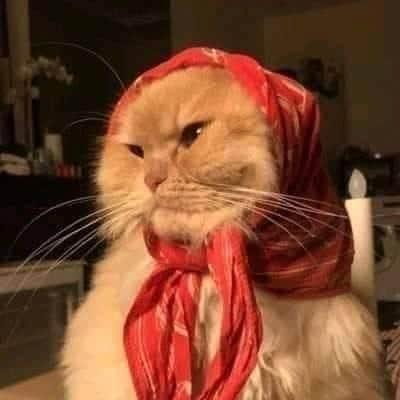 fatan71125's tweet photo. #صورة_ملف_شخصي_جديدة https://t.co/YIeZRyPp9j