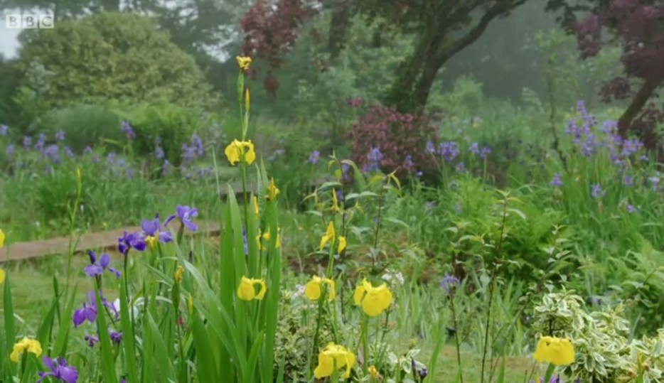 whalleysteve1's tweet photo. Great feature on pond plants by #EmmaRobertson at #TorGardenPlants on the edge of Dartmoor. Even watching the ponds and water plants is calming and quite bewitching. #GardenersWorld @GWandShows https://t.co/o9al7zhtc0