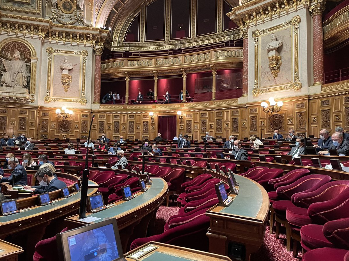 f_philippot's tweet photo. Comme vous le constatez, il y a foule au #Sénat pour défendre vos libertés face au #PasseSanitaire ! 🤦
Le peuple français ne peut compter que sur lui-même ! https://t.co/TkydDVYUtC