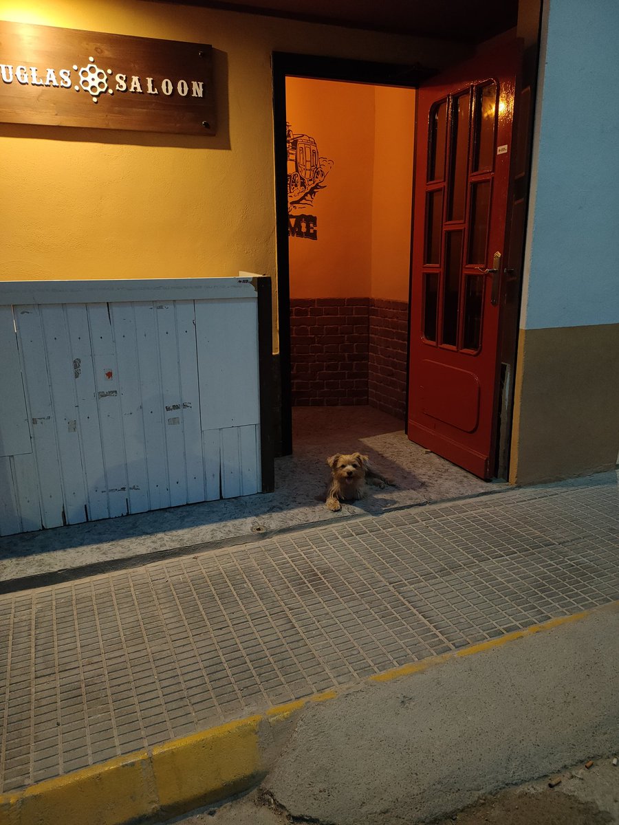 antoniooo_st's tweet photo. Que puedo hacer el portero no me deja pasar 😪 https://t.co/jN84ZzJlSj