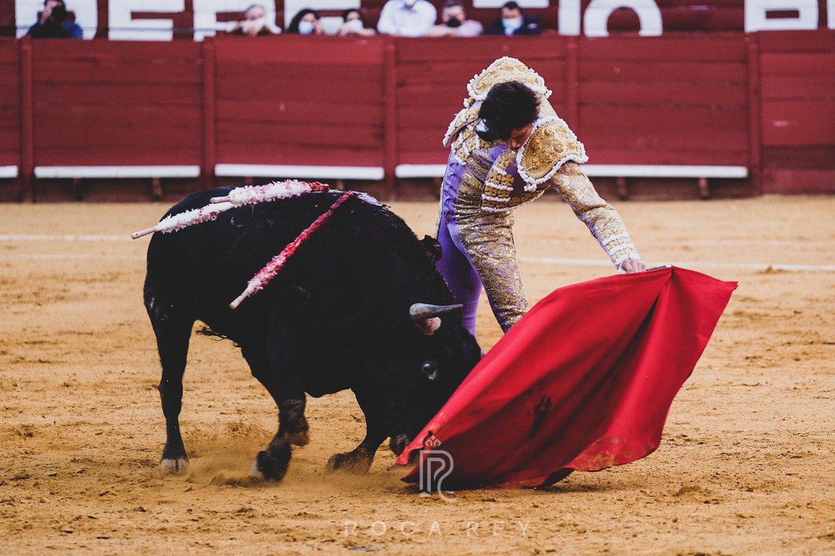 RocaRey's tweet photo. 📷 Detalles de la actuación de @rocarey con el primero de su lote en @torosjerez. De no marrar con los aceros habría podido pasear trofeos. #RocaRey #RocaReyJerez #ClubRR
👉🏻 seguimos … 🤟🏻 https://t.co/H1VnxldCsC