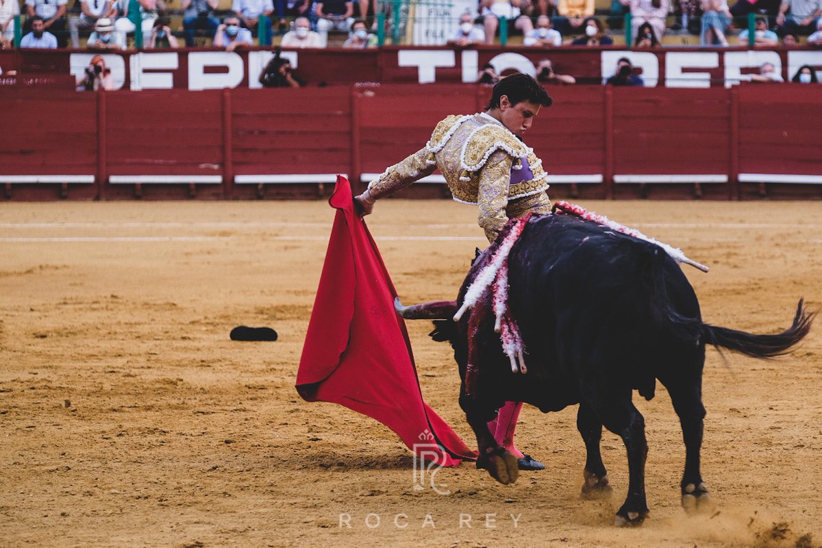 RocaRey's tweet photo. 📷 Detalles de la actuación de @rocarey con el primero de su lote en @torosjerez. De no marrar con los aceros habría podido pasear trofeos. #RocaRey #RocaReyJerez #ClubRR
👉🏻 seguimos … 🤟🏻 https://t.co/H1VnxldCsC