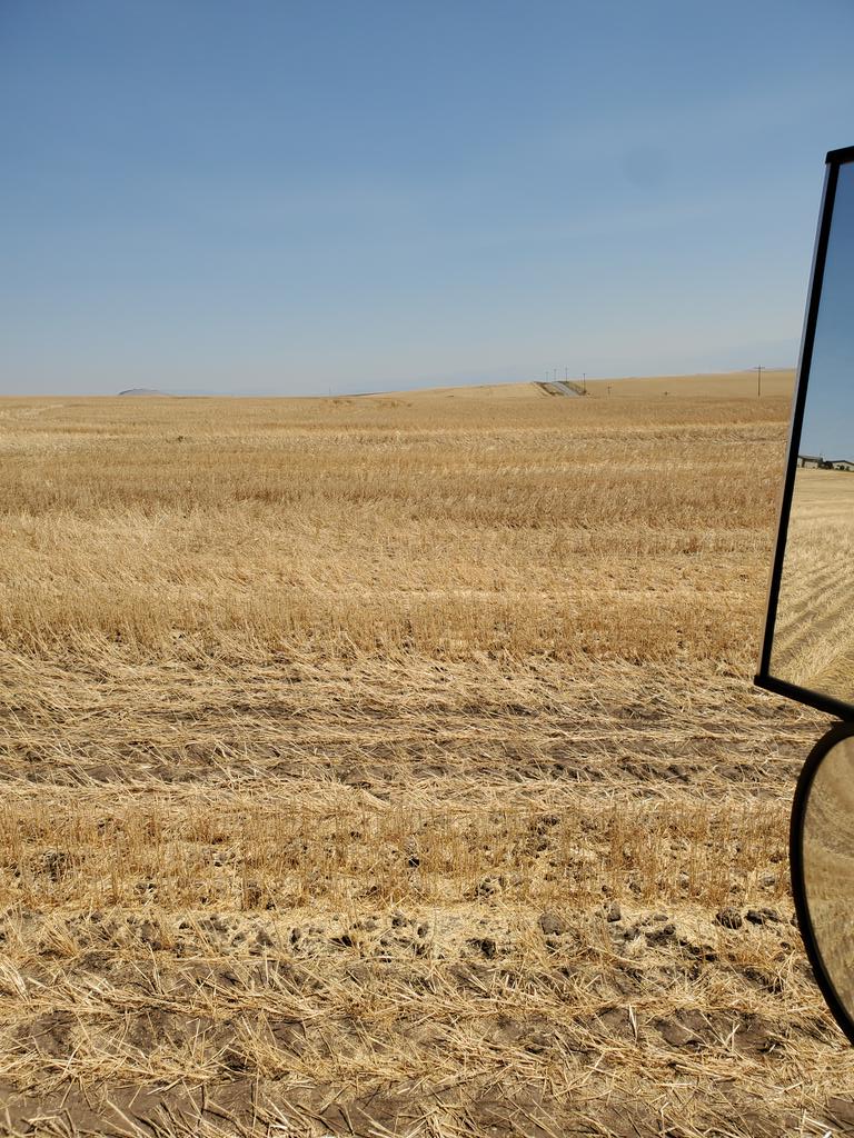 Making a bad wheat crop into stubble. Not fun but gotta do it to get next year started.