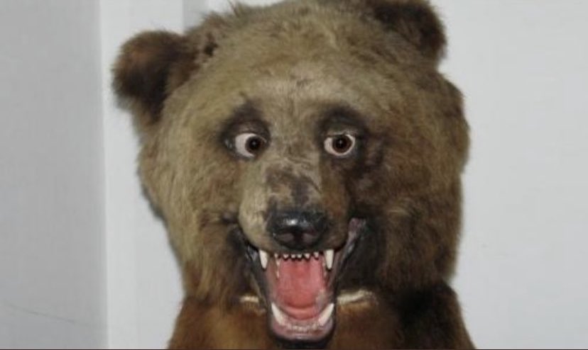 BEARS

Start of                           End of 
the week:                       the week: