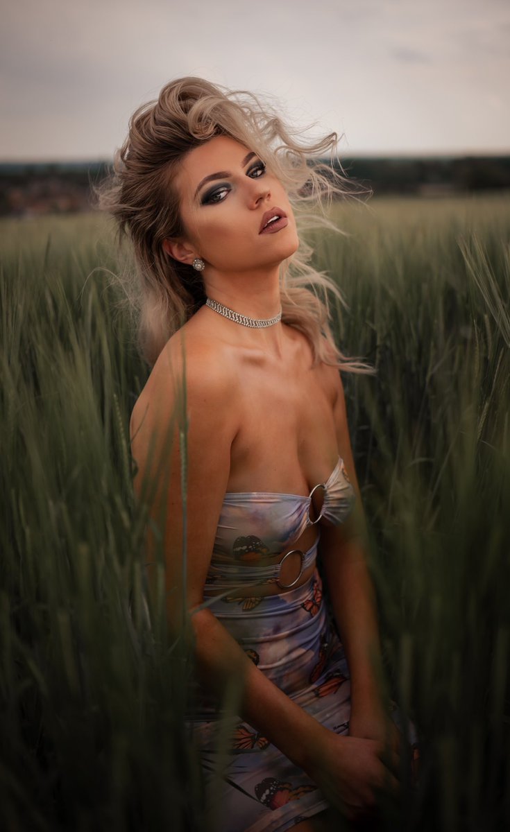 Steve Capelli tweet media