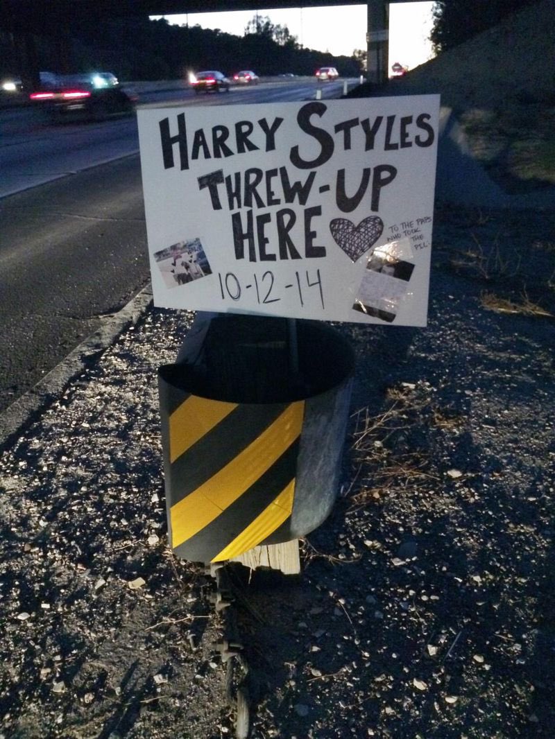 wallowsgarden's tweet image. bring this back to let everyone know that there’s no other fandom quite like directioners✨#Happy11YearsOneDirection