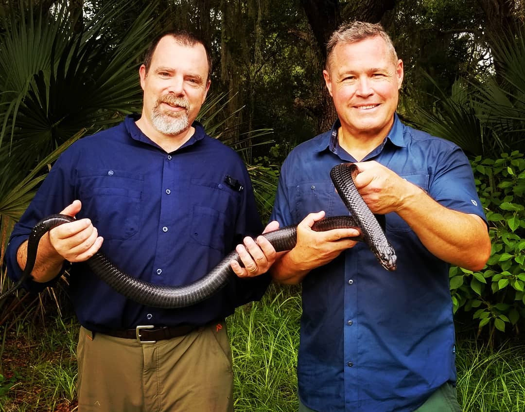 OrianneSociety's tweet photo. Repost from @drcljenkins on Instagram:
Down in Florida working on snake conservation with Jeff Corwin.
#orianne #chrisjenkins #snakes #easternindigo #indigosnake #drymarchon #drymarchoncouperi #wildlife #conservation https://t.co/jkTDA6M34B