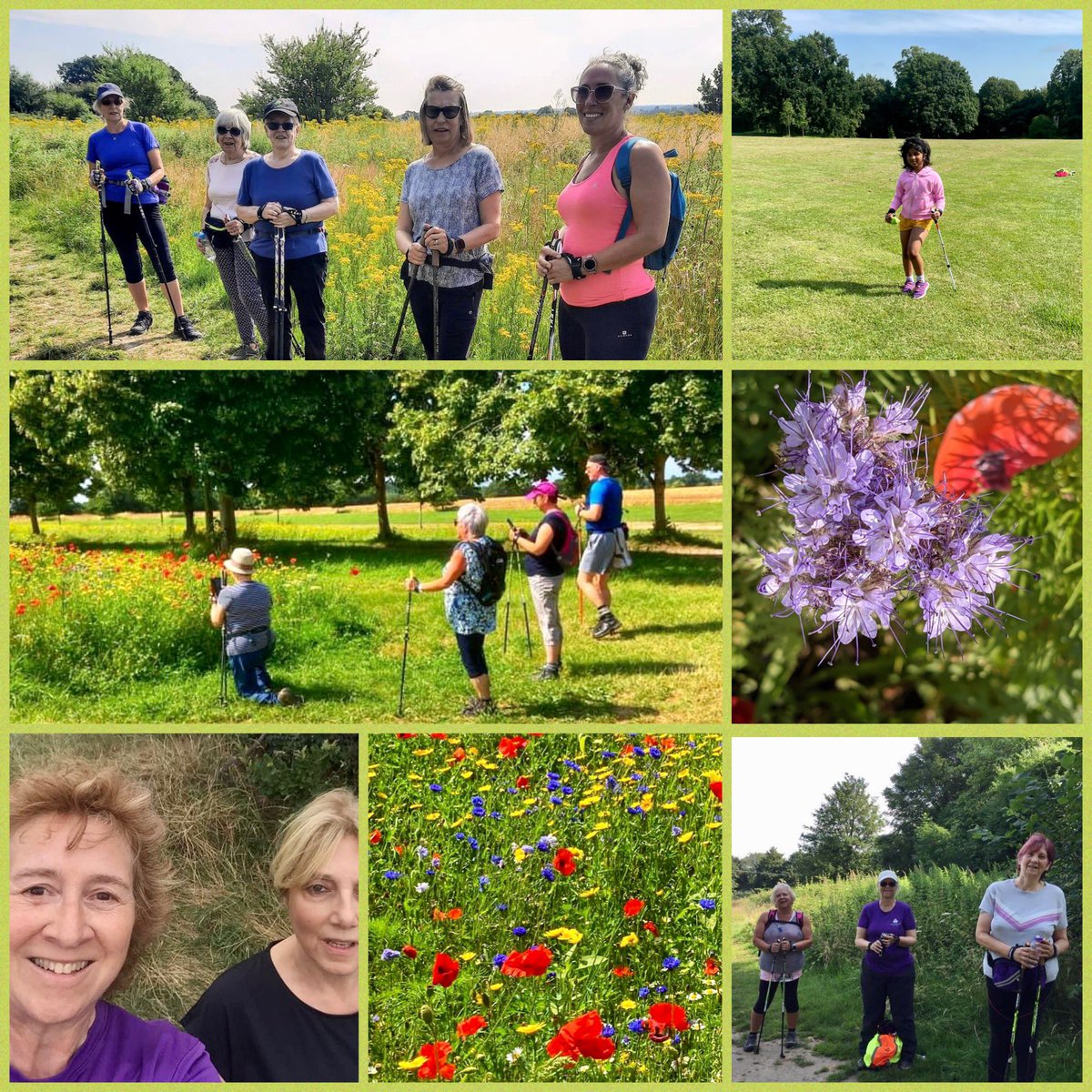 NW_Watford's tweet photo. ACTION PACKED Friday at @nwwatford! 

A wonderful choice of different walks - wellbeing, wellbeing plus, adventure, push the pace and a 1:2:1! 

Fab Friday 💜

#lovenordicwalking #fabfriday #getoutside #strongerfasterfitter https://t.co/Fp0jN2mve5