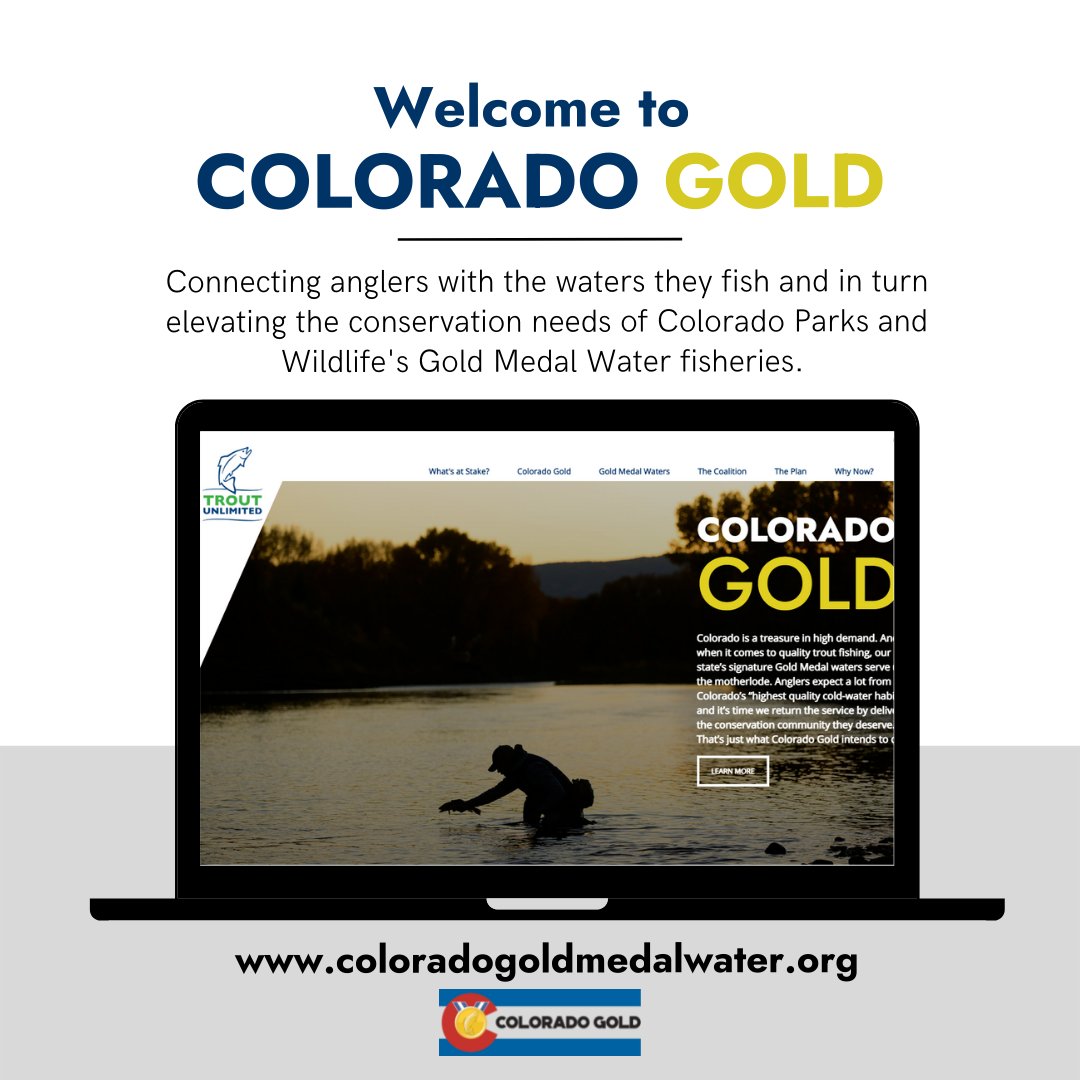 Colorado_TU's tweet photo. You’ve heard of Colorado’s Gold Medal Waters, right? These are some of the state’s highest quality cold-water habitats. We want to keep them "gold” and help bring others up to Colorado Parks and Wildlife’s highest standard. Join us: https://t.co/6TLQGeBfEM #coloradogold https://t.co/zqCBMhTJey