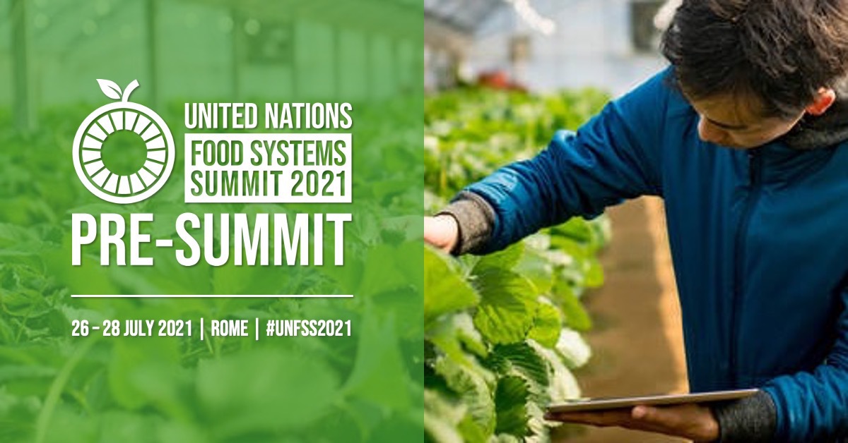 UN's tweet photo. The UN Food Systems Pre-Summit gets underway in Rome on Monday.
World leaders, civil society, producers, indigenous peoples & others are coming together to explore bold actions needed to transform the future of food.
Follow @FoodSystems for more. https://t.co/hj0M1rXnWr https://t.co/QsFC1Fj3p7
