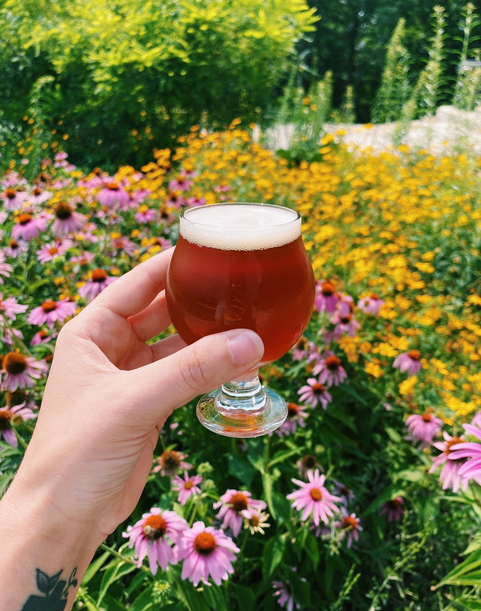It’s back! 

Lost Goat Belgian Pale Ale – 5.7% ABV - Named to honor a goat who wandered to our place from a neighbor’s in the early months of our existence as a business. 

(Taster size pictured, available in 10 oz and 14 oz pours, or a growler to-go!)