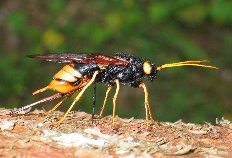Barntown Heritage Group tweet media
