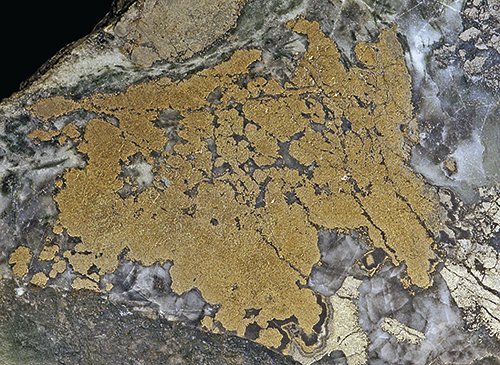 Rock & Gem tweet media