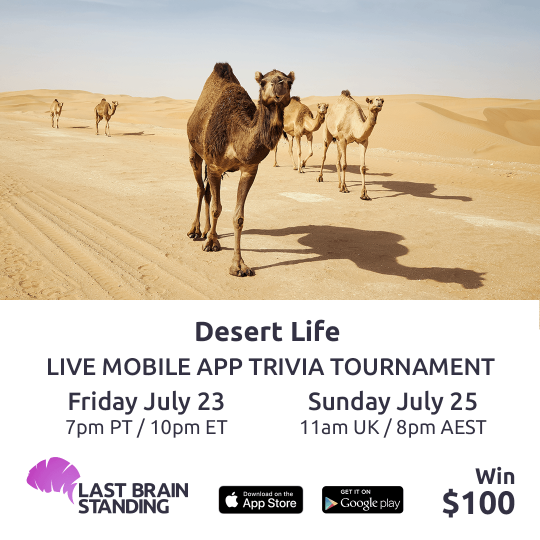 Last Brain Standing tweet media