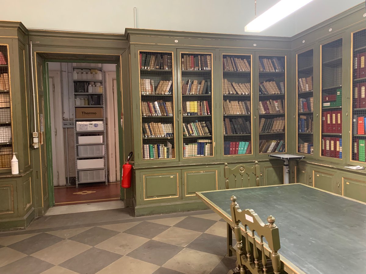 Life4MarPiccolo tweet media