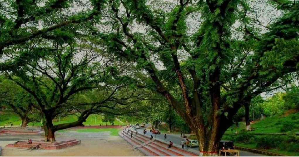 Sohel_M_Rahman's tweet image. Is it smart to destroy a Pocket of greens at Chattogram Railway for Hospital?

I earnestly hope that "authority concerned" changes their decisions. 
#SaveCRB
#ClimateCrisis 
#Sustainability