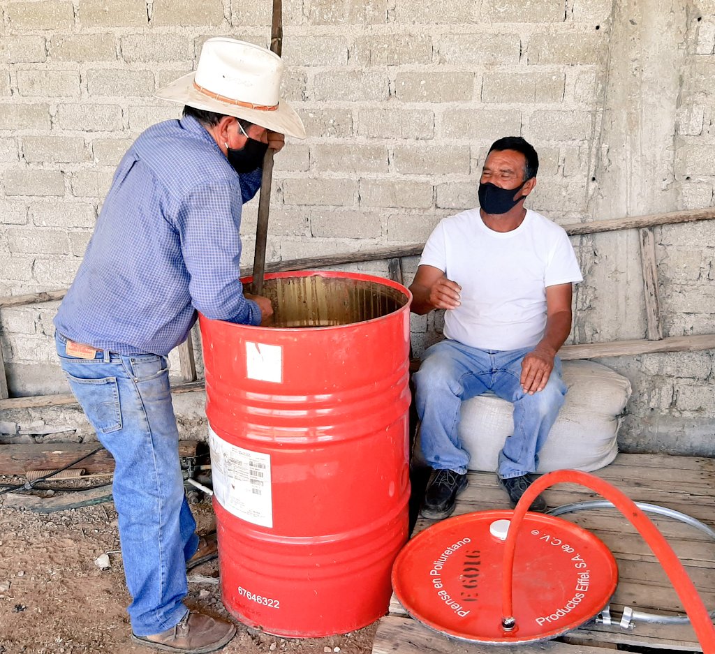 Fco_Hgo_Lopez's tweet photo. Con @MasAgroGto productores de @municipio_leon elaboran fertilizantes foliares a base de estiércol de vaca y enriquecidos con minerales que nos ayudan a solucionar carencias nutricionales ✅ en los cultivos.

Se realizan con materiales de fácil adquisición ✅ y a un bajo costo ✅ https://t.co/xMaO2W68S4