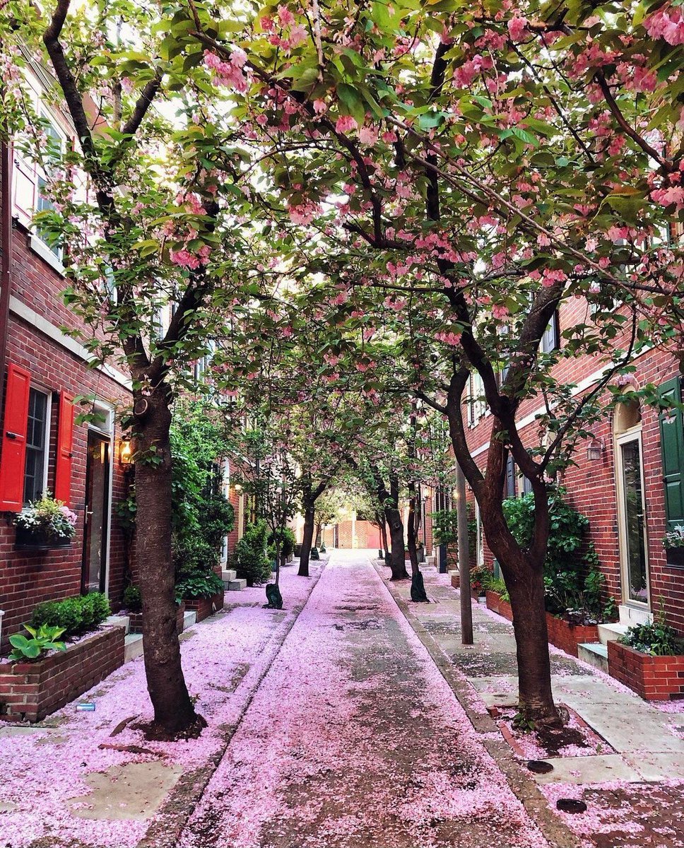 where i'd rather be tweet media