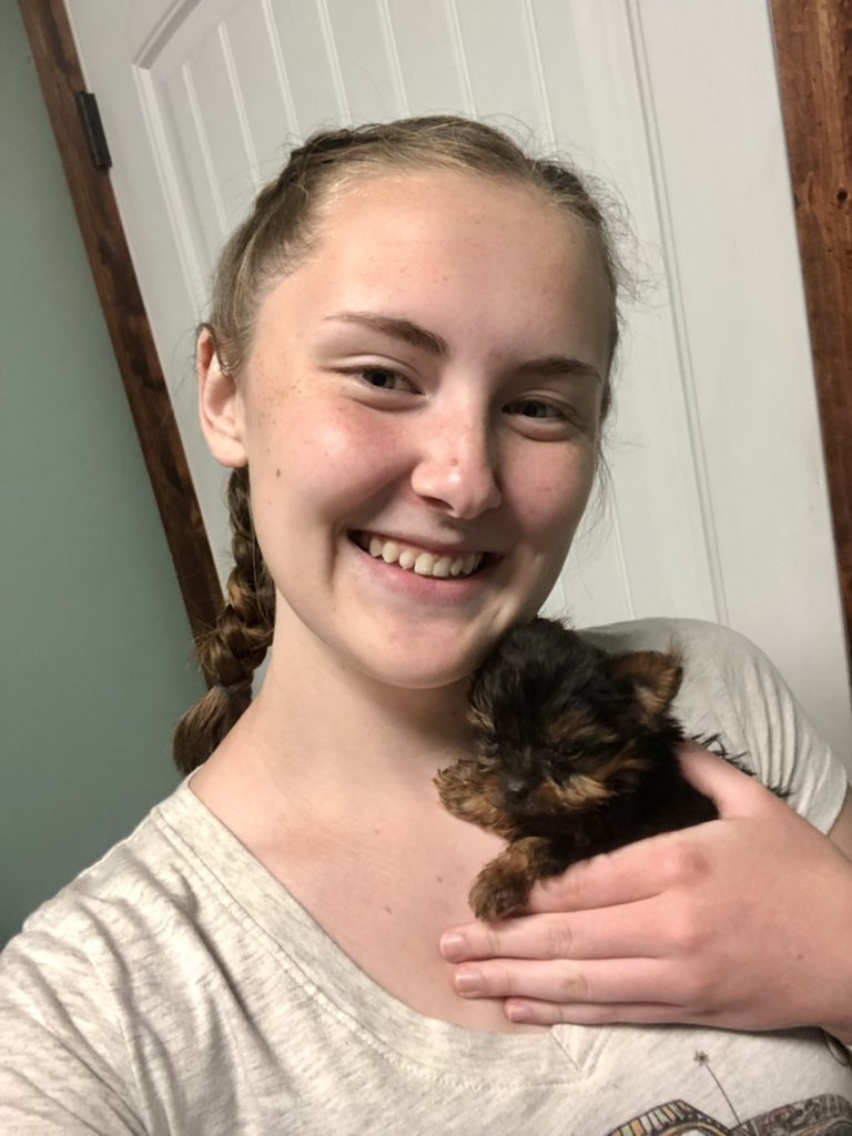 BethelVet's tweet photo. Happy Friday! 
Here’s a picture of a 6 week-old yorkie puppy to make you smile today. The little cutie’s only 3/4 of a pound right now. 🥰

#puppiesofinstagram #cutenessoverload https://t.co/YDRydGkkHu