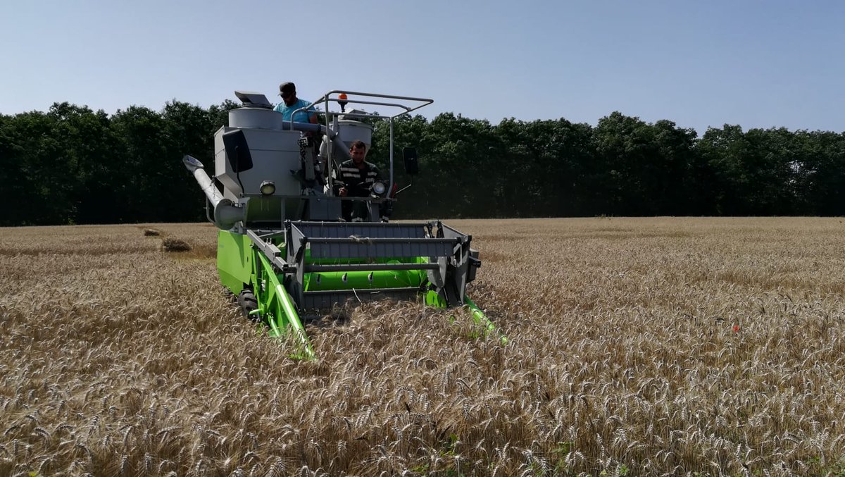 Marie Bouillé tweet media