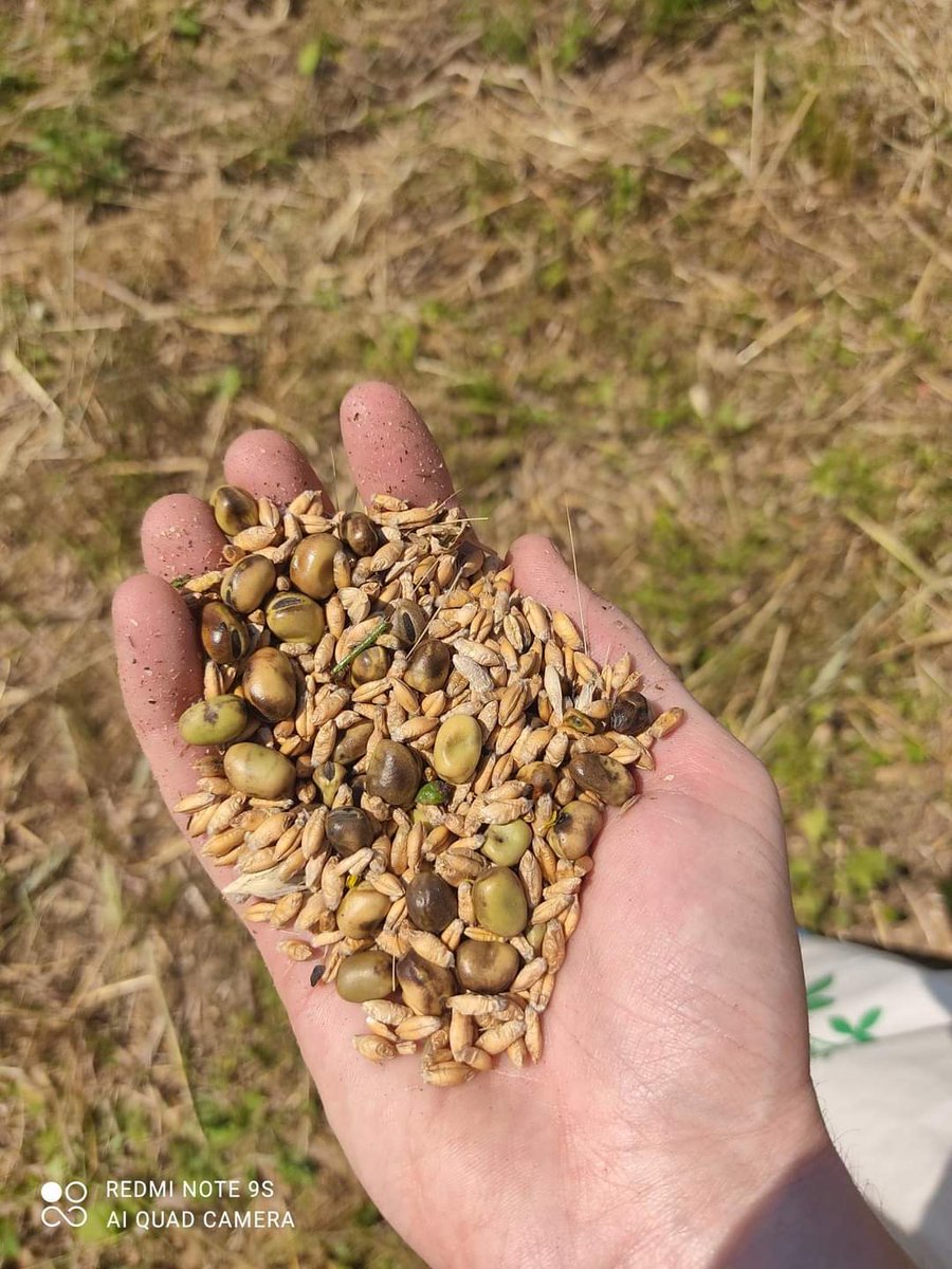 Marie Bouillé tweet media