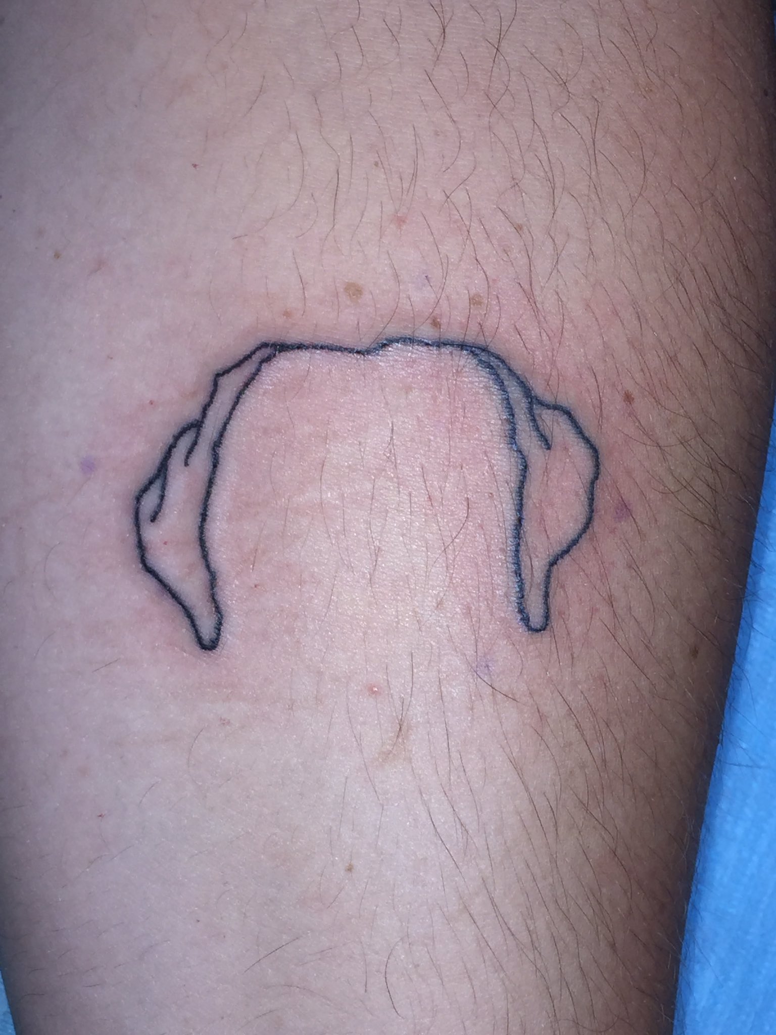 Top more than 70 dog ear silhouette tattoo latest in.eteachers