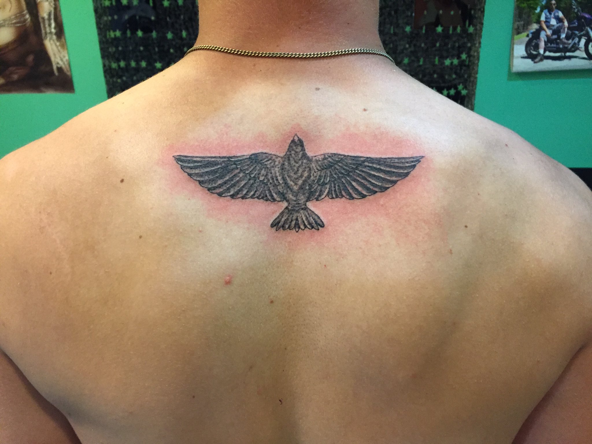 Simple Black Ink Flying Hawk Tattoo Design