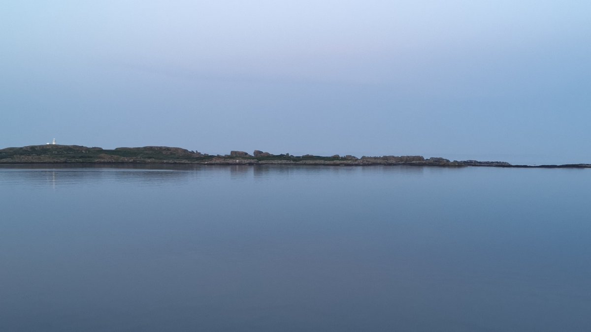soirbheas's tweet photo. Beautiful still evening in the Ardmore Islands surrounded by seals and roosting seabirds https://t.co/ffxcxXirdd