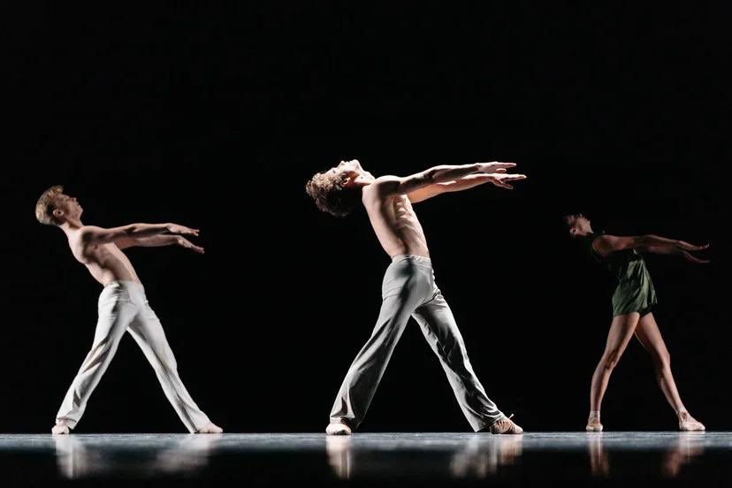 July 23, the Global Values Festival from the Innopraktika and Russian Seasons project began in Sevastopol. 
The program includes performances by the choreographic session graduates, as well as students of the Boris Eifman Dance Academy.