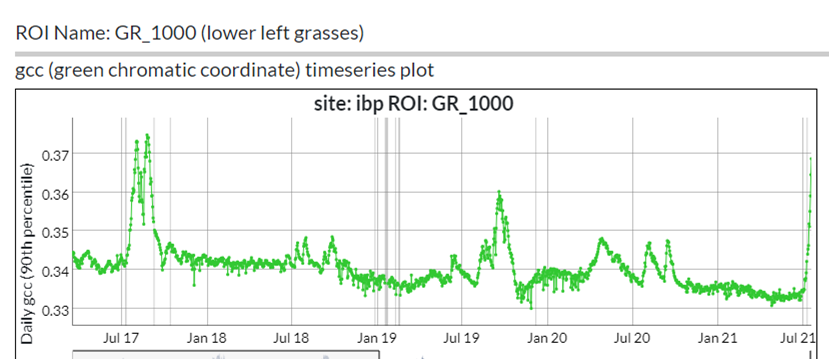 BBestelm's tweet photo. Black grama grasslands @TheJornada are greener now than they have been in 4 years, and recent greening is reflected in the @DroughtCenter maps. Insights courtesy of @PhenoCam https://t.co/sBwsyTZBZA