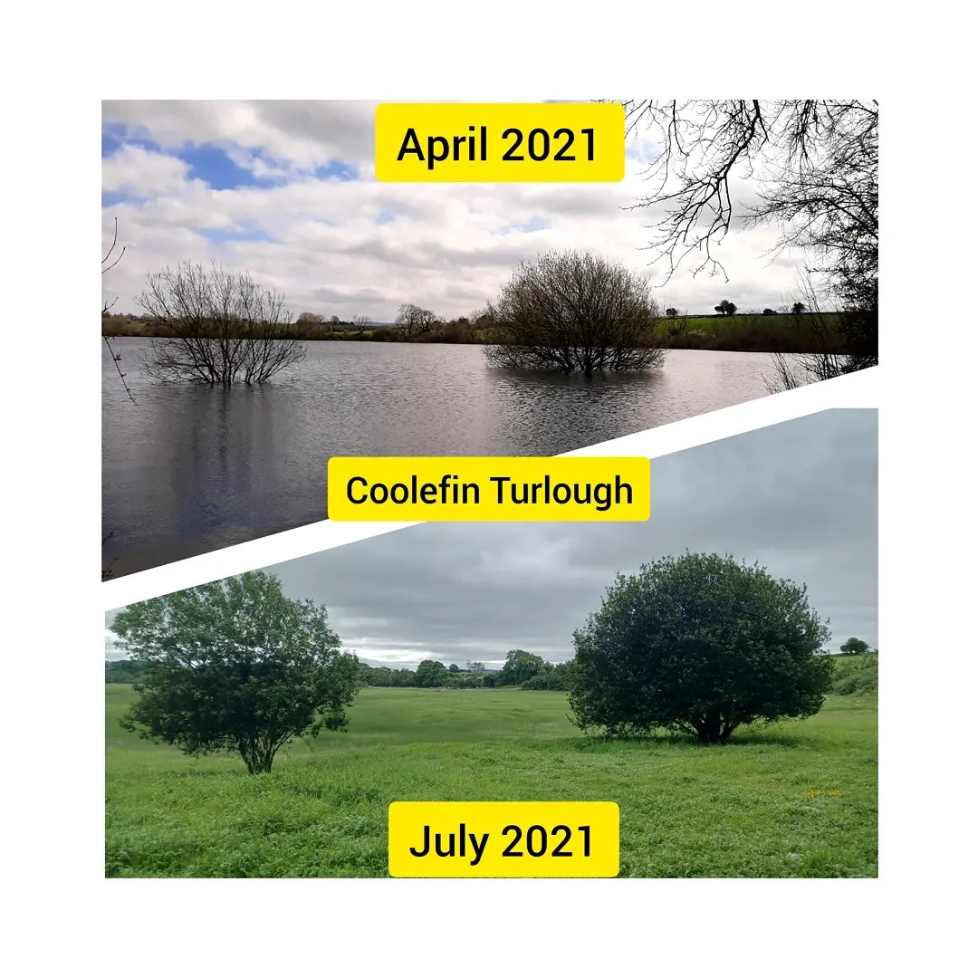 CycleGort's tweet photo. South Galway has many turloughs, this being the Turlough at Coolefin, a short cycle from #Labane . The name Turlough comes from the Irish or Gaelic language meaning dry lake. 

Turloughs are an Irish geological phenomenon…

📸 https://t.co/nfTw3ddccF via https://t.co/aq7qcrG2ME https://t.co/ttsLQfTnWc