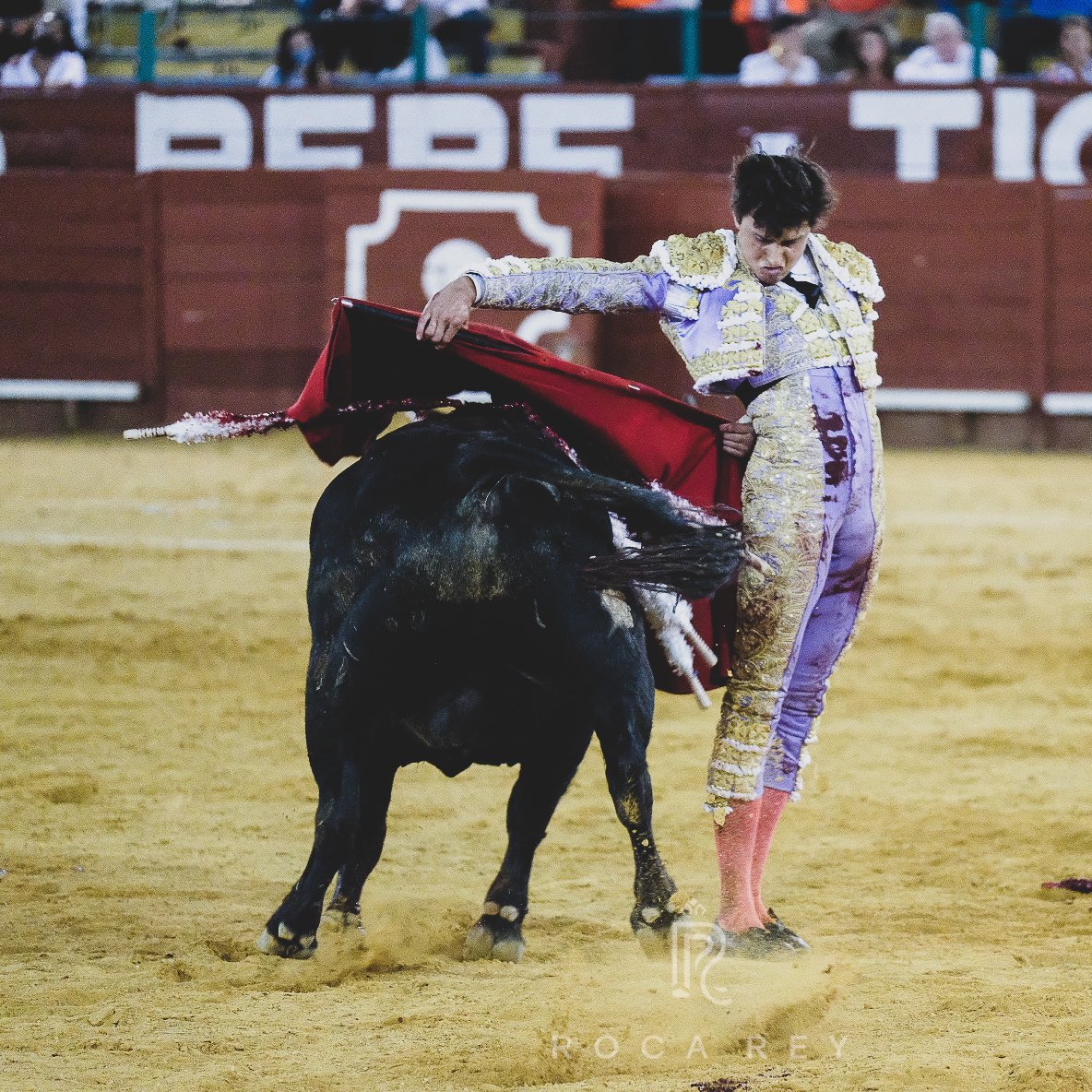 RocaRey's tweet photo. Un trofeo del sexto con fuerte petición de la segunda y bronca al palco. @rocarey se inventó la faena y la remató con una soberbia estocada. #RocaRey #RocaReyJerez #ClubRR https://t.co/xHkHF5xtnx