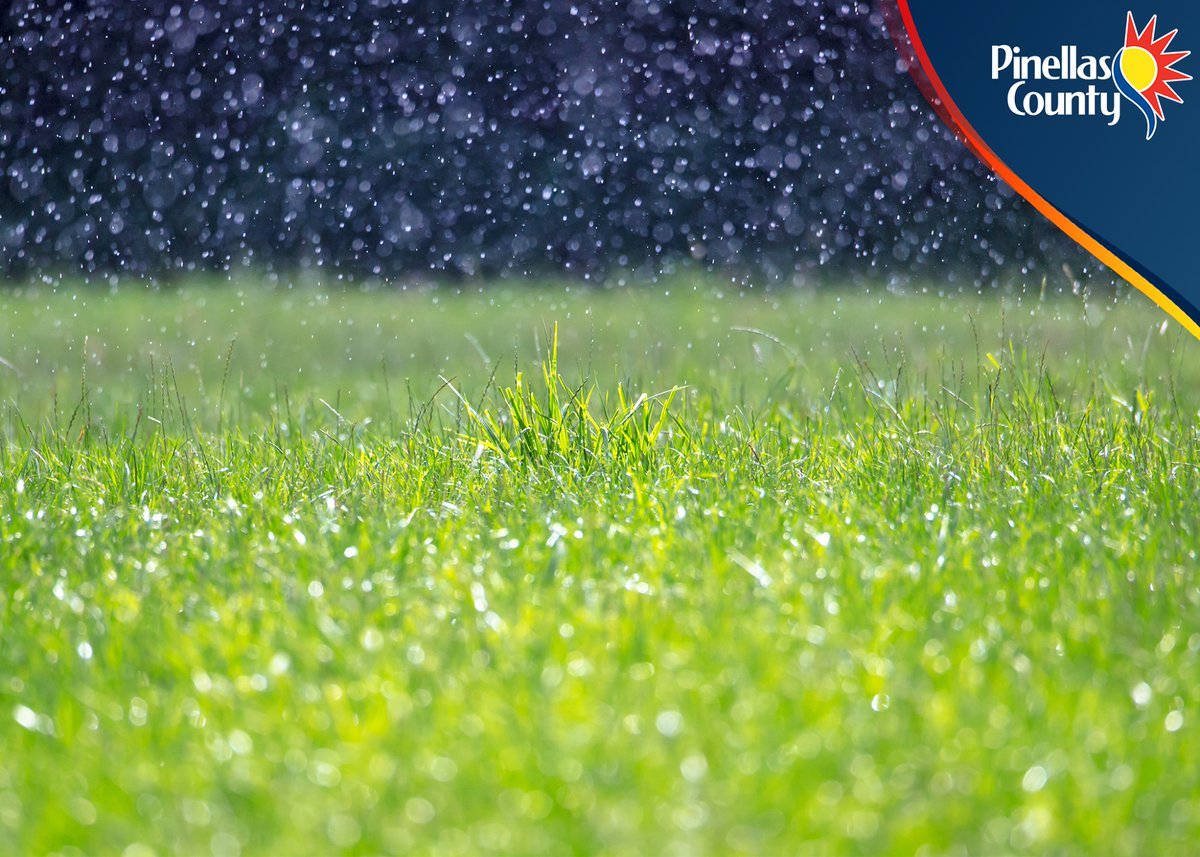 PinellasGov's tweet photo. Sometimes the smart thing to do is nothing at all. Skip a week of watering after a rain event. #SmartIrrigationMonth #PinellasCounty #SaveWater #WaterConservation #InTheKnowAboutH2O #TBWater #WaterSense https://t.co/FwtXYgJ2Oo