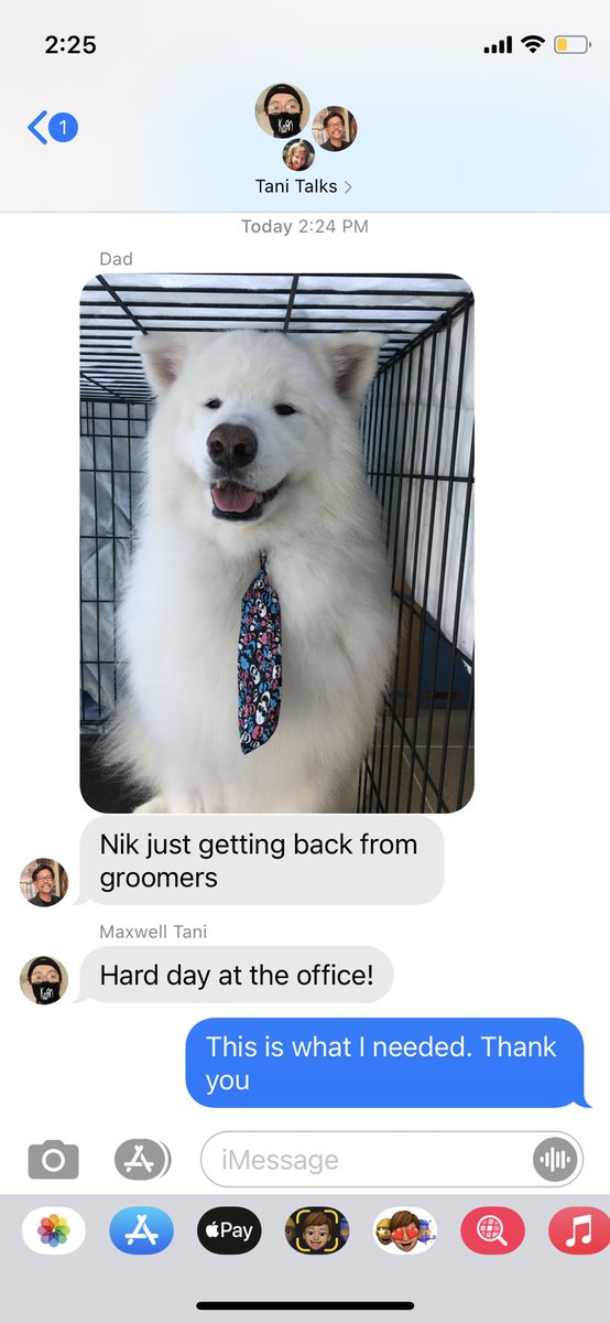 emma tani tweet media