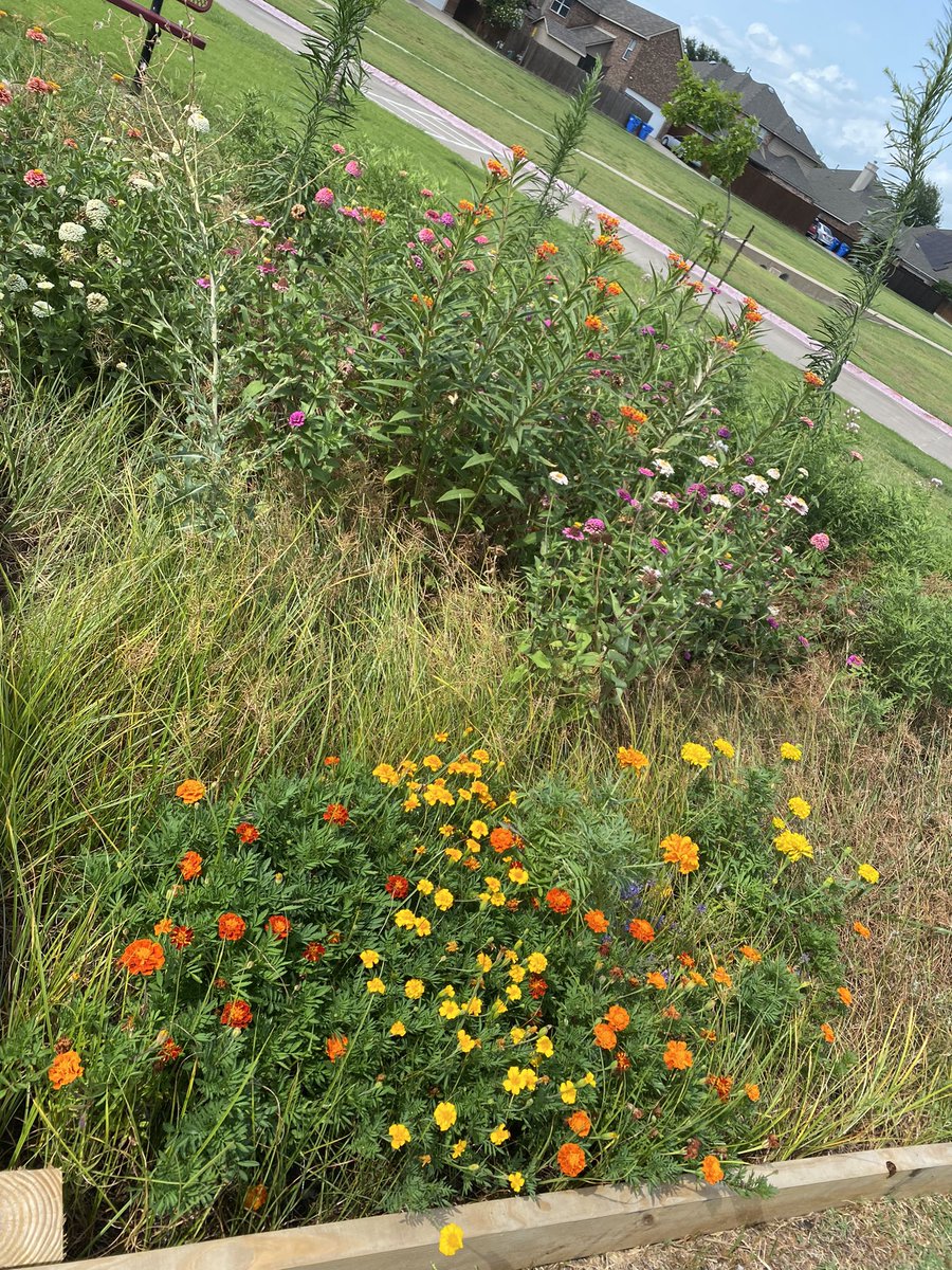 Deanne White tweet media