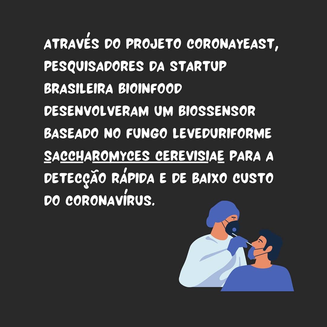 labem_ufmt's tweet photo. 🦠E mais um estudo utilizando Saccharomyces cerevisiae uma levedura muito importante no desenvolvimento de produtos biotecnológicos. Saiba mais https://t.co/6FYqYaiVaA https://t.co/oz9TPjrqdn