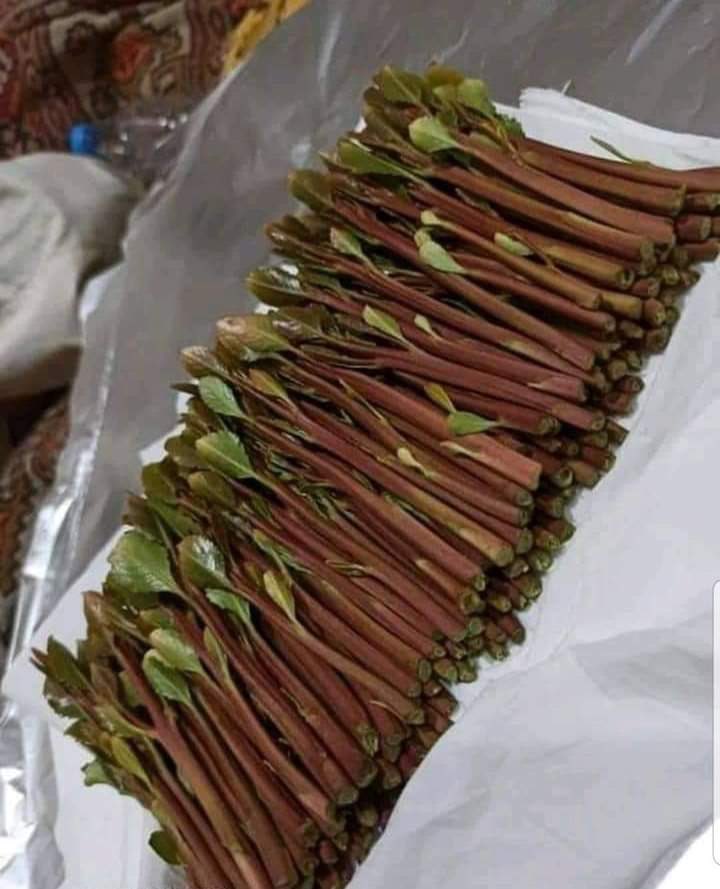 أحمد الصباحي tweet media