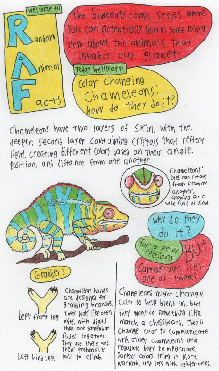 Dommer4kill's tweet photo. Some instalments of the now discontinued Random Animal Facts!
#webcomic #webcomics #D4K #D4KComics #RandomAnimalFacts https://t.co/KnyUu5Kl6q