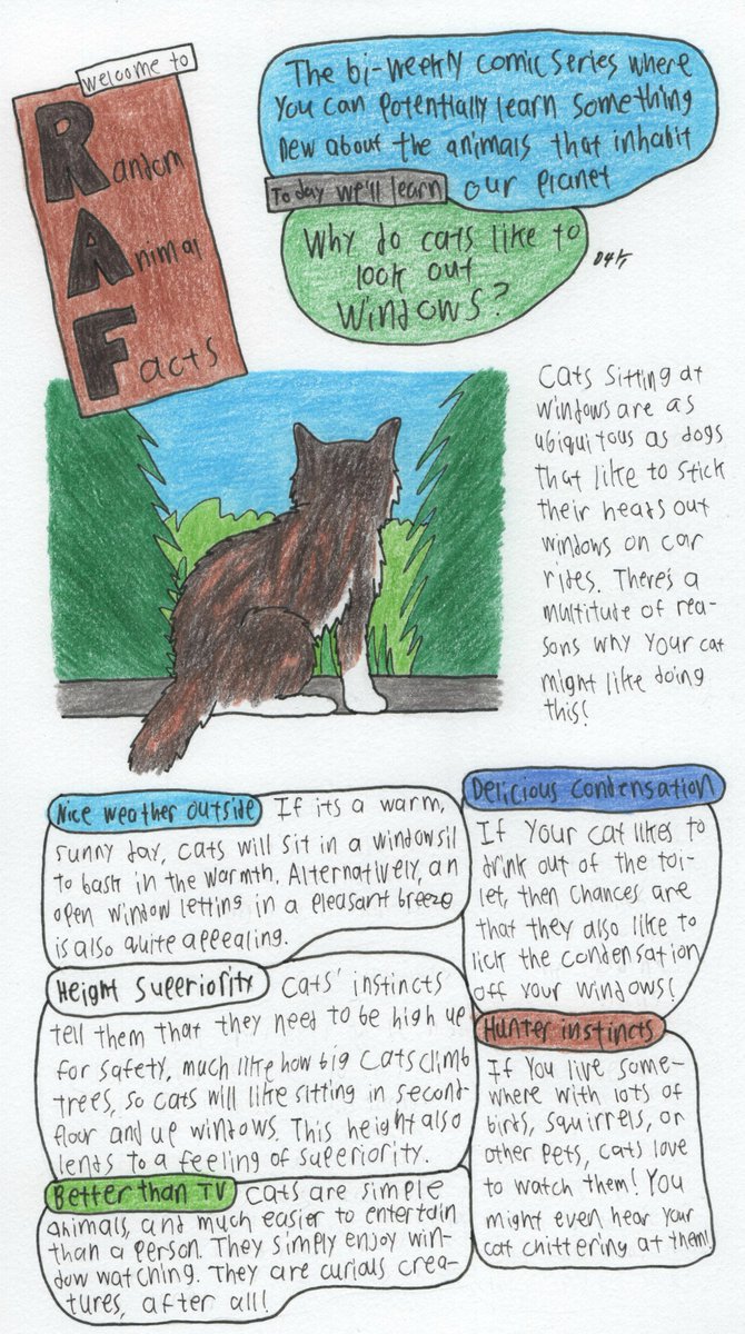 Dommer4kill's tweet photo. Some instalments of the now discontinued Random Animal Facts!
#webcomic #webcomics #D4K #D4KComics #RandomAnimalFacts https://t.co/KnyUu5Kl6q
