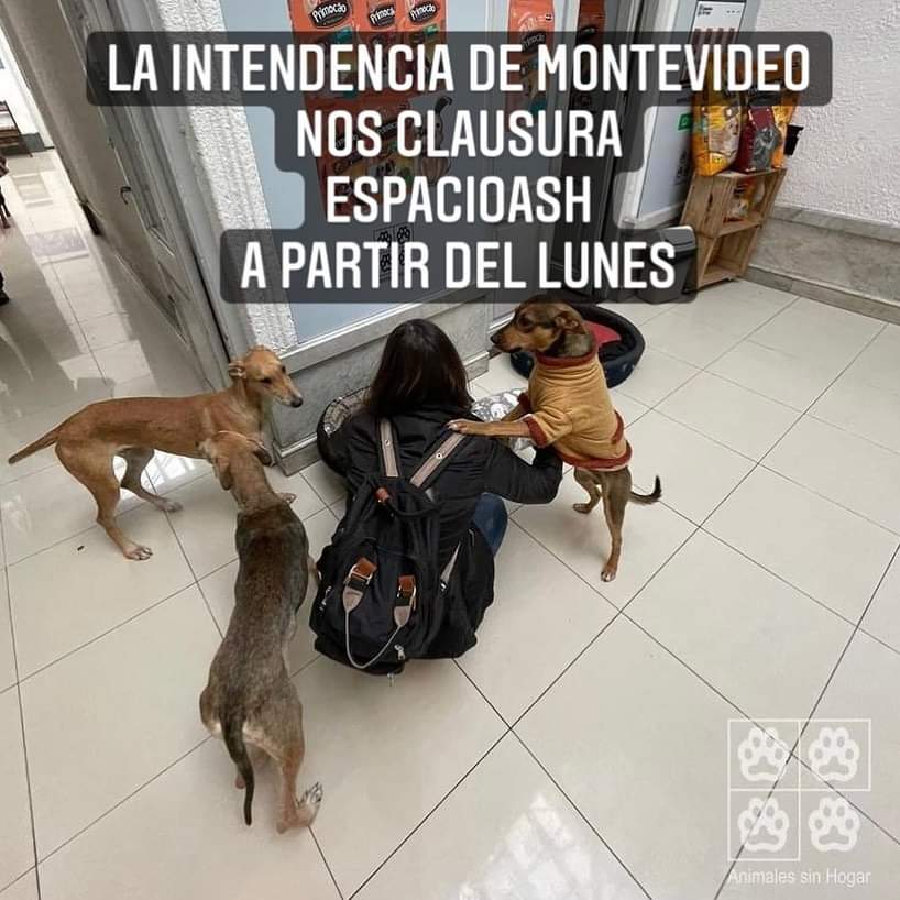 ASHcomUY's tweet photo. La Intendencia de Montevideo nos clausura Espacio ASH este lunes!! 😞 https://t.co/El1Co51vZC
